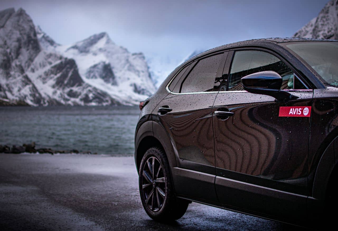 Avis Car Rental