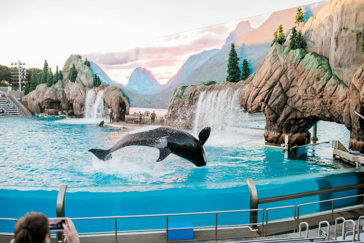 SeaWorld